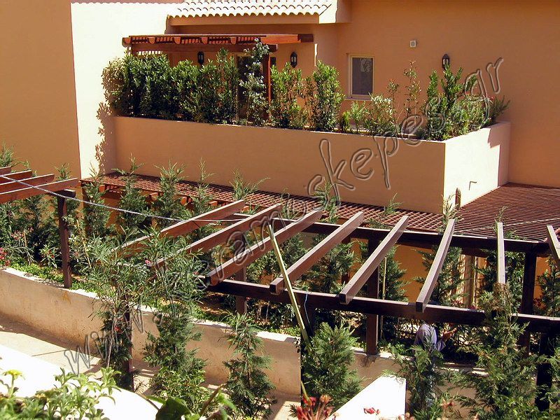 �������